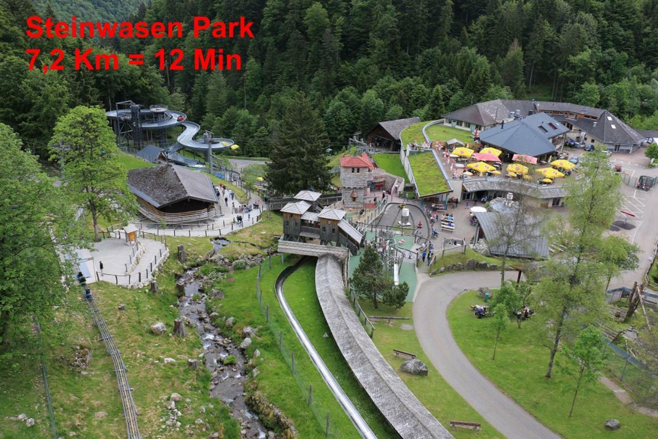 Residenz Schauinsland, Ganzes Appartement, Sauna Todtnau Exterior foto